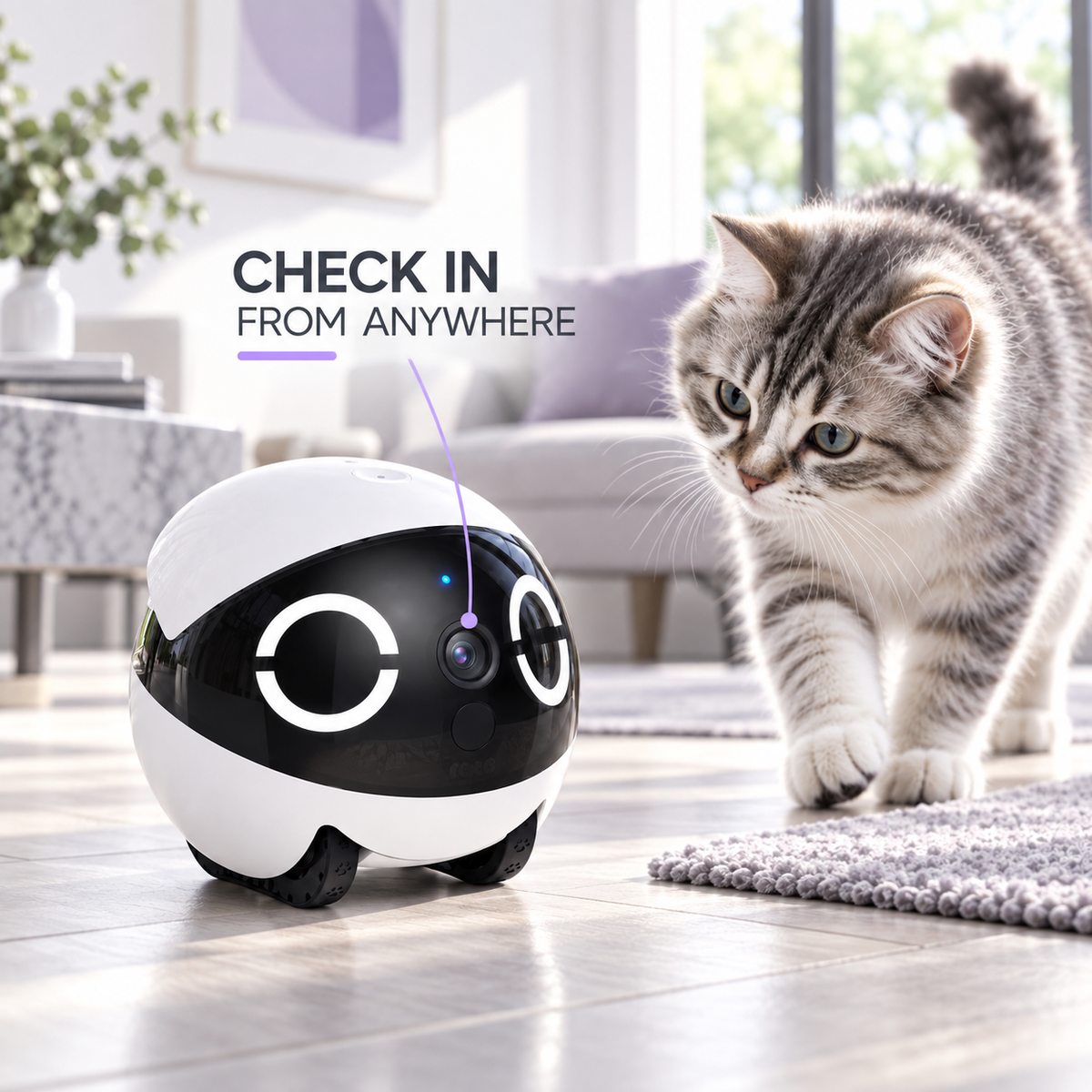 Enabot EBO ROLA Mini — A Mobile 2K View of Home