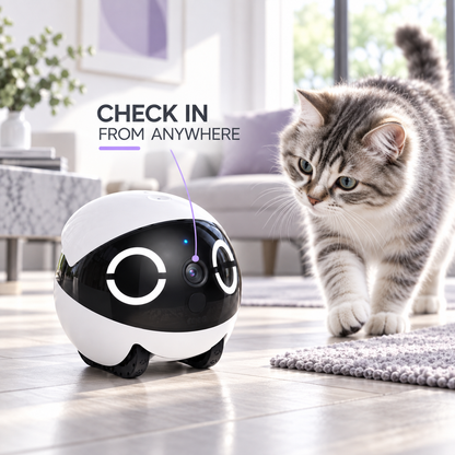 Enabot EBO ROLA Mini — A Mobile 2K View of Home