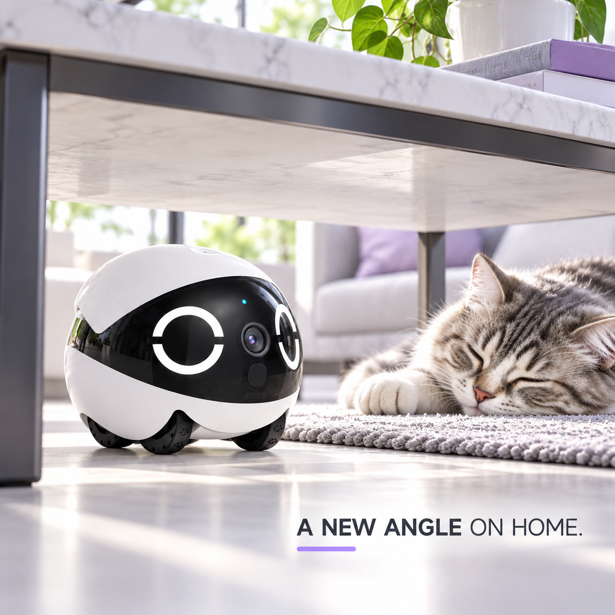Enabot EBO ROLA Mini — A Mobile 2K View of Home — Siero Trade