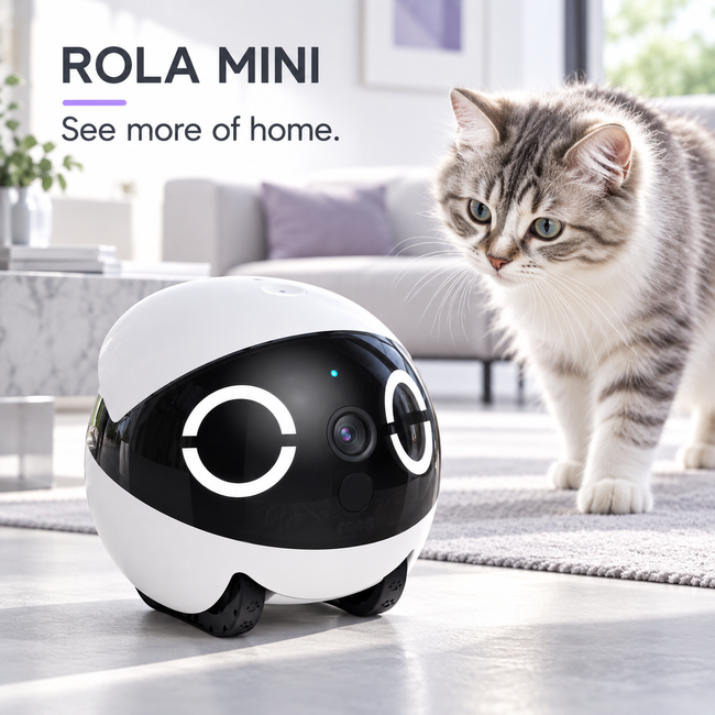 Enabot mobile home camera